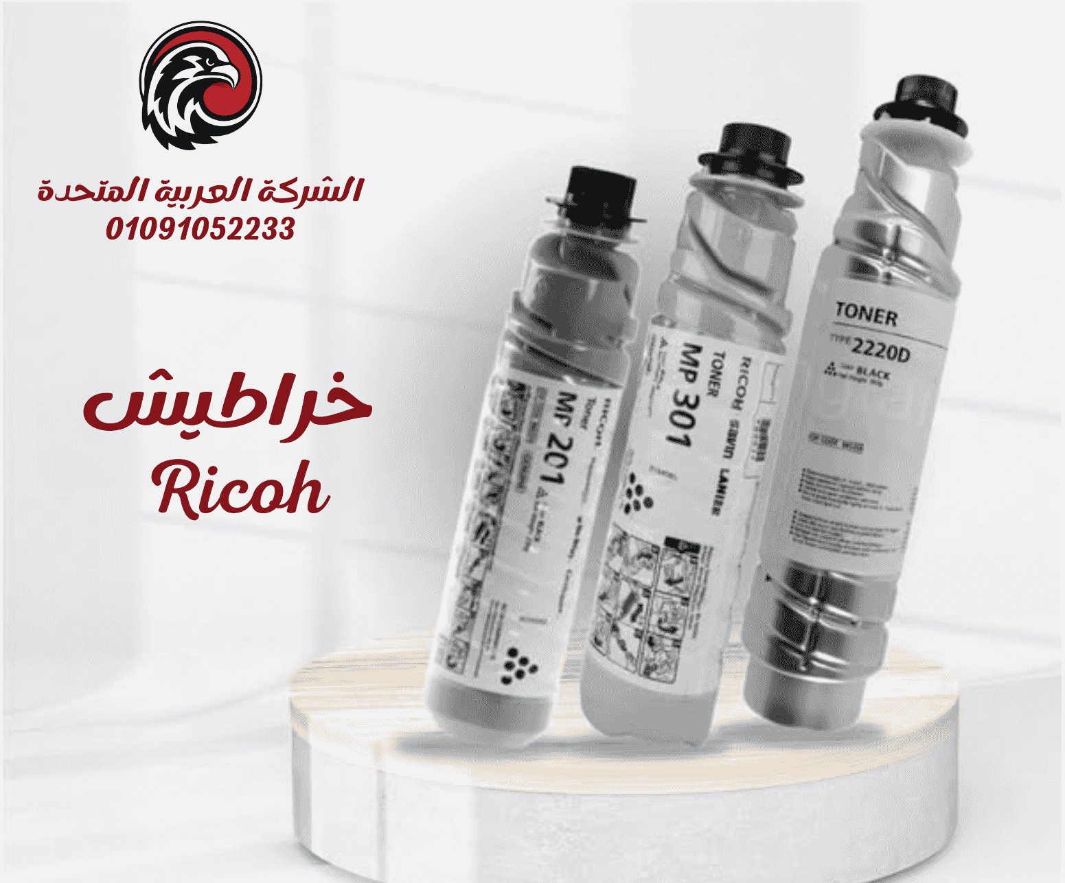 خراطيش حبر Ricoh