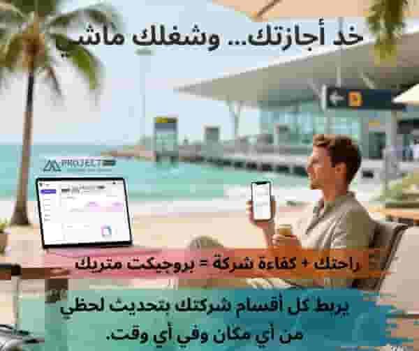 نظام تخطيط موارد المؤسسات المتري 