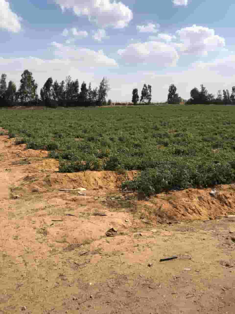  للبيع مزررعة على طريق مصر إسكندرية الصحراوي